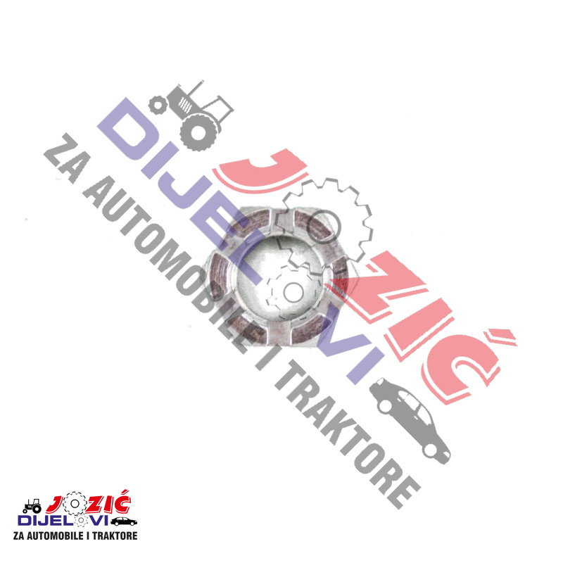 Daisy on the Ohoopee